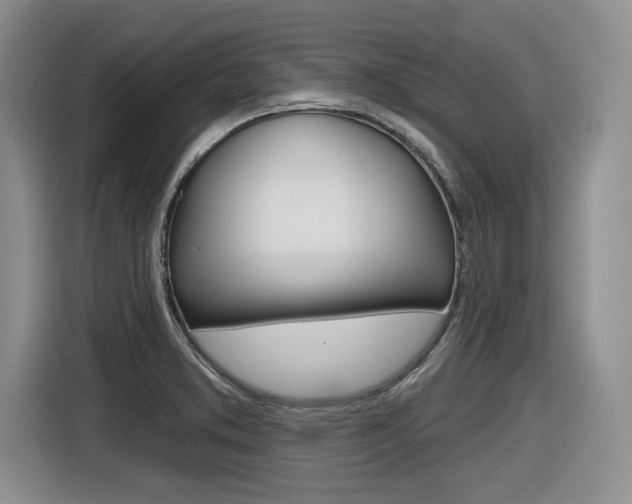 X0000116631373200912110952