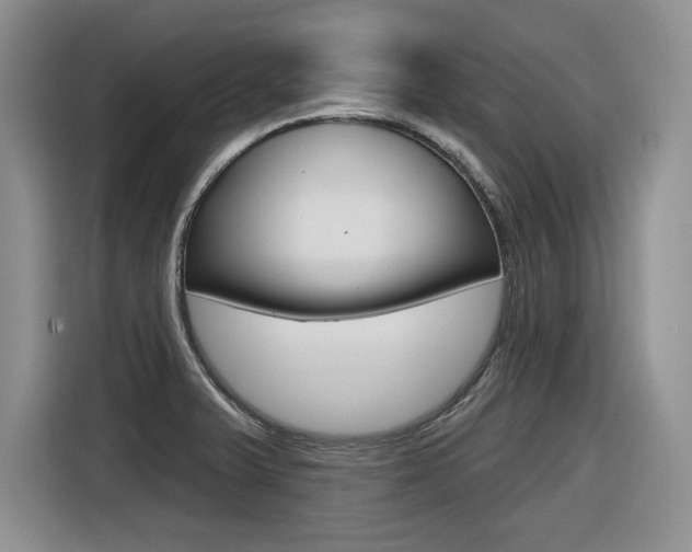 X0000116631375200912110952