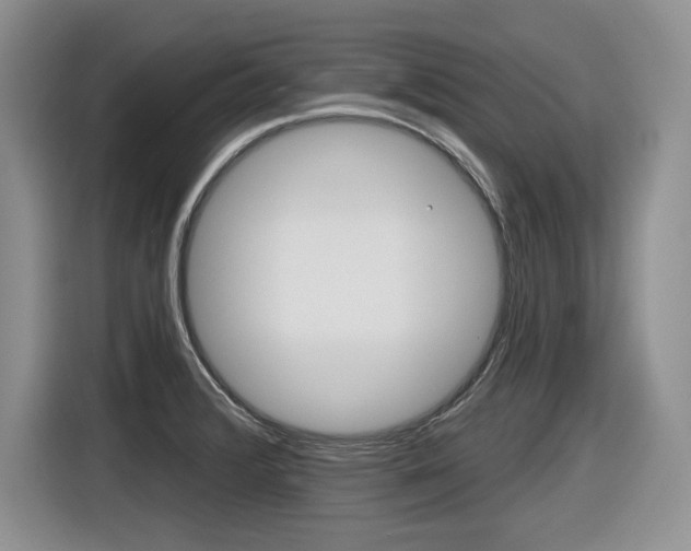 X0000116631376200912110952