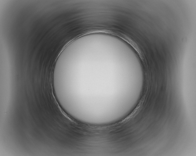 X0000116631377200912110952