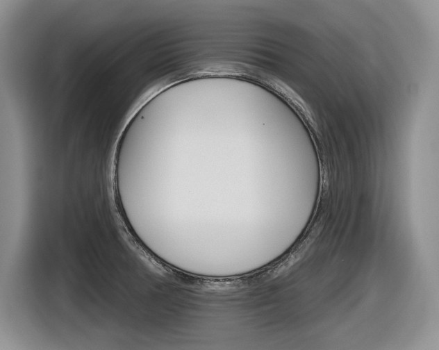 X0000116631378200912110952
