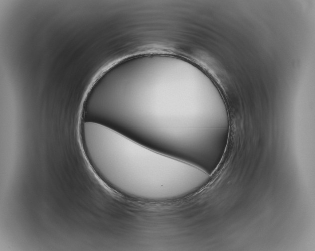 X0000116631379200912110952
