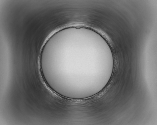 X0000116631382200912110952