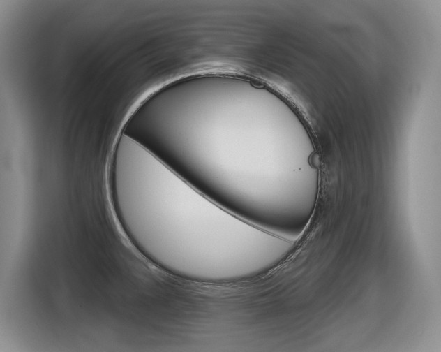 X0000116631383200912110952