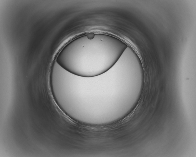 X0000116631384200912110952