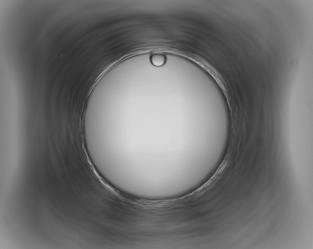 X0000116631385200912110952