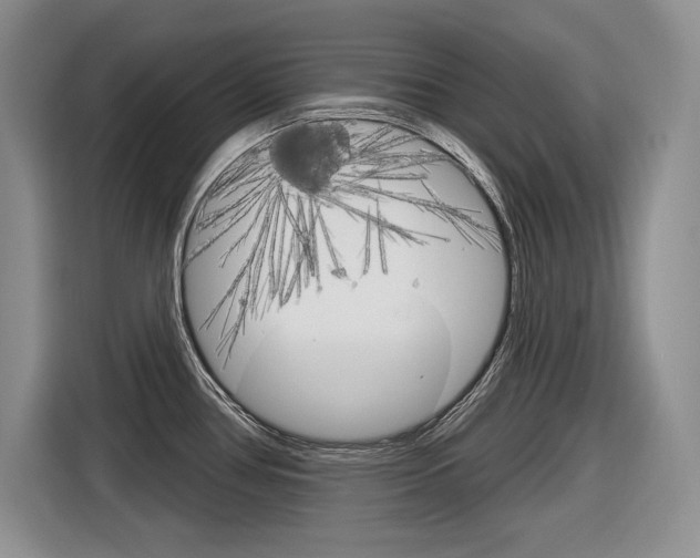 X0000116631386200912110952