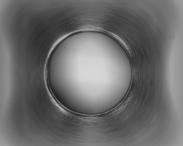 X0000116631387200912110952