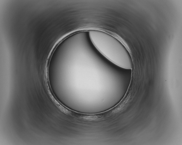 X0000116631388200912110952