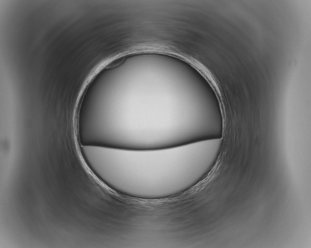 X0000116631389200912110952