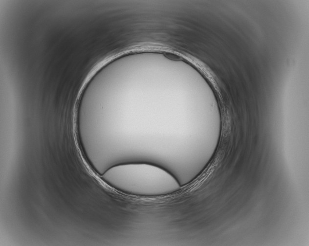 X0000116631390200912110952