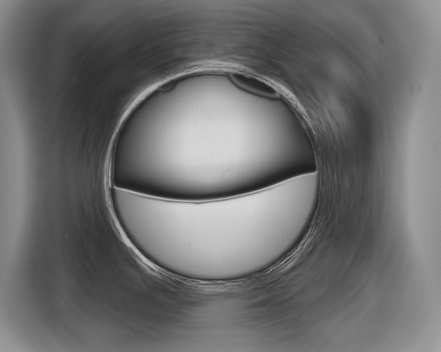 X0000116631391200912110952