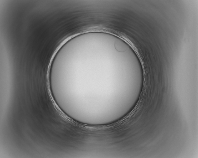 X0000116631392200912110952
