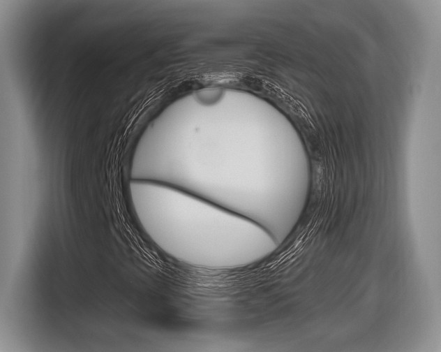 X0000116631393200912110951
