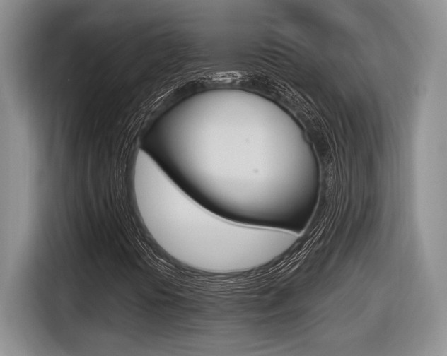 X0000116631394200912110951