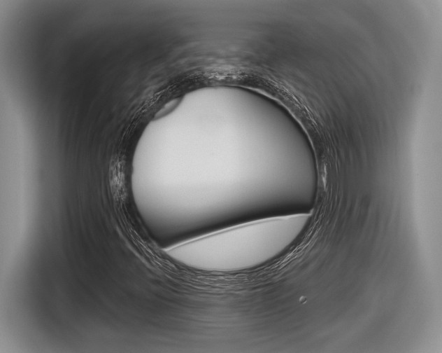 X0000116631396200912110951