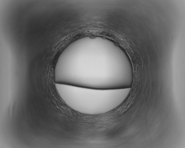 X0000116631397200912110951