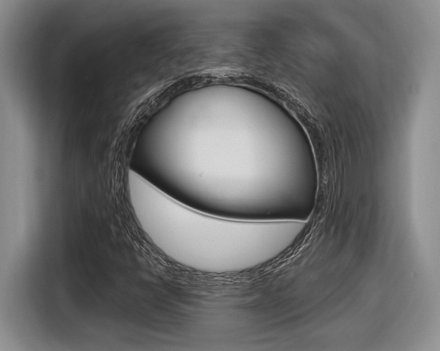 X0000116631398200912110951