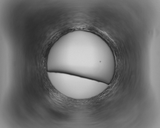 X0000116631399200912110951