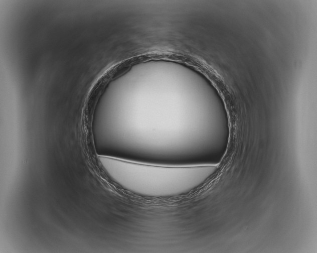X0000116631400200912110951
