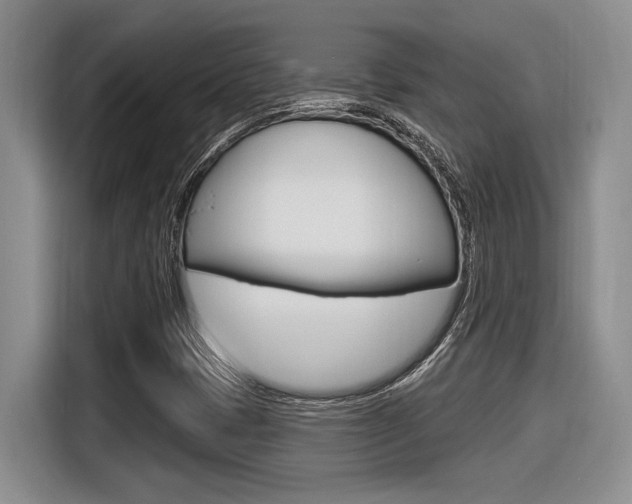 X0000116631401200912110951