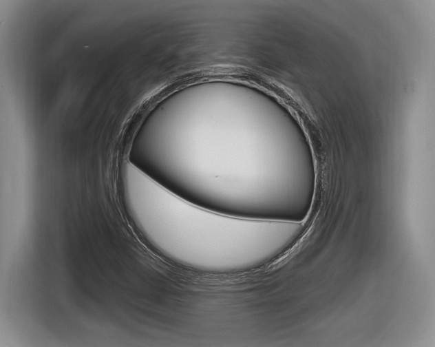 X0000116631402200912110951