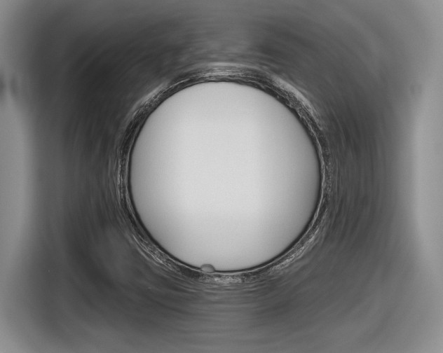 X0000116631403200912110951