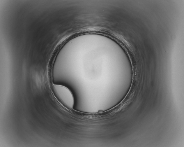 X0000116631404200912110951