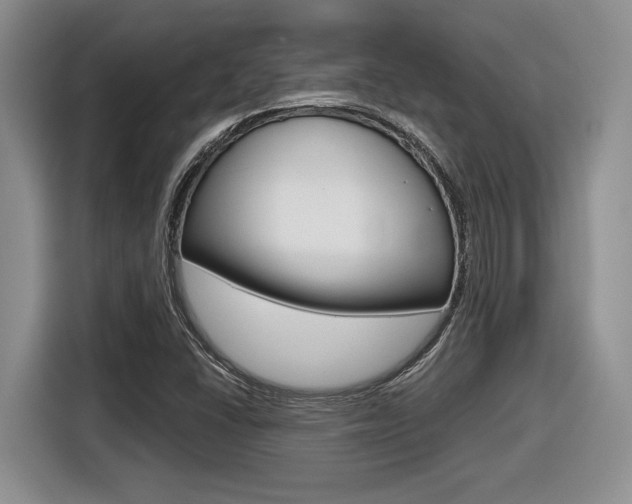 X0000116631406200912110951