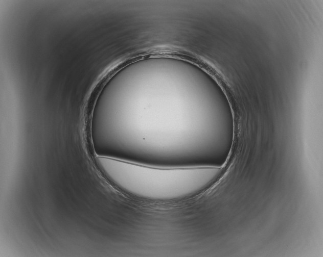 X0000116631410200912110951
