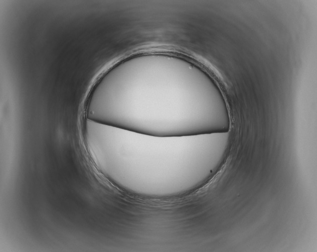 X0000116631413200912110951