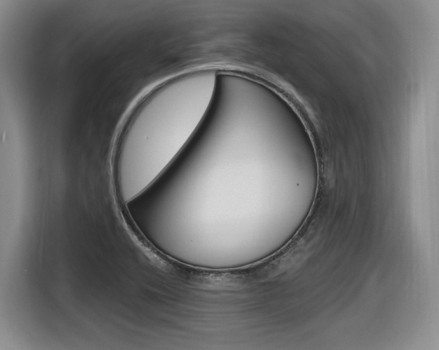 X0000116631416200912110952