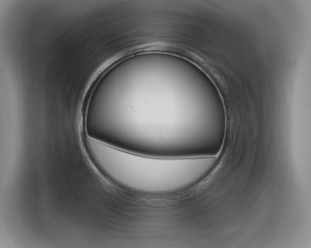 X0000116631418200912110952