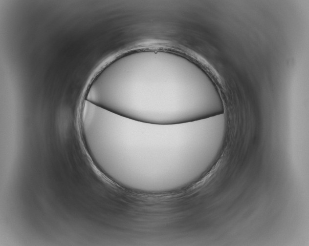 X0000116631421200912110952