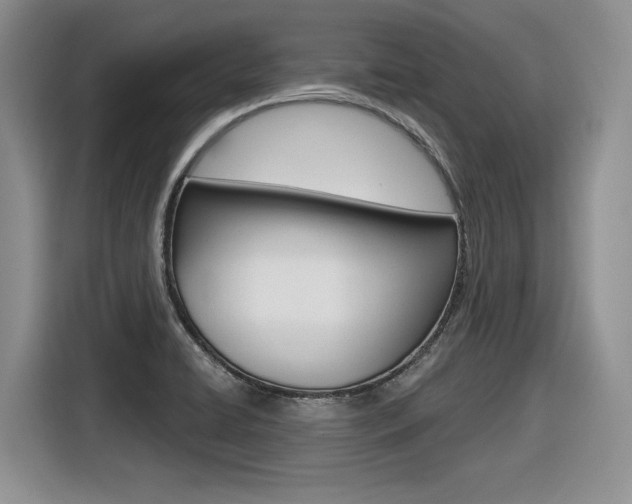 X0000116631422200912110952