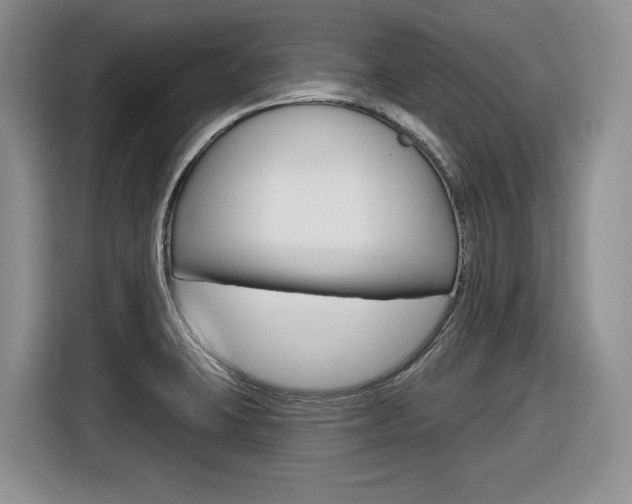 X0000116631423200912110952