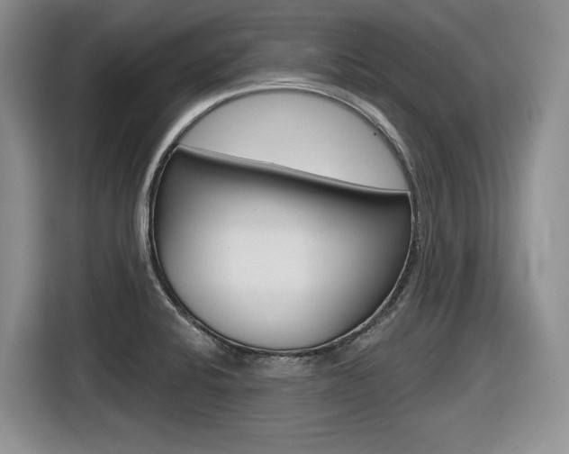X0000116631424200912110952