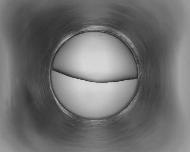 X0000116631425200912110952