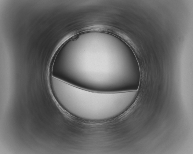 X0000116631426200912110952