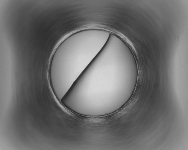 X0000116631429200912110952