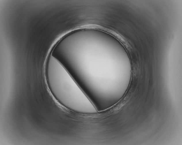 X0000116631430200912110952
