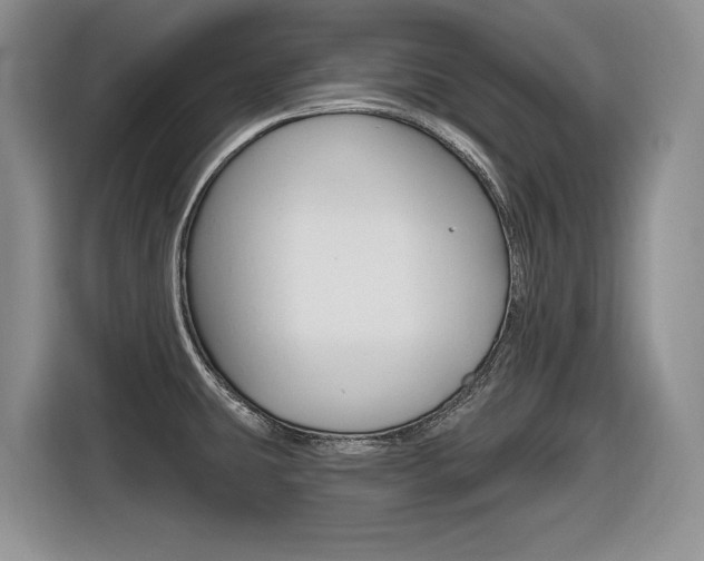 X0000116631431200912110952