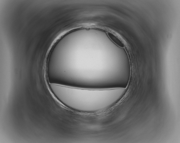 X0000116631432200912110952