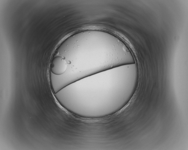 X0000116631433200912110952