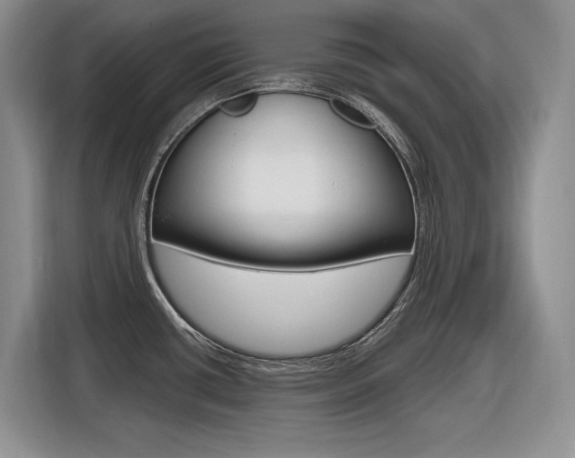 X0000116631434200912110952