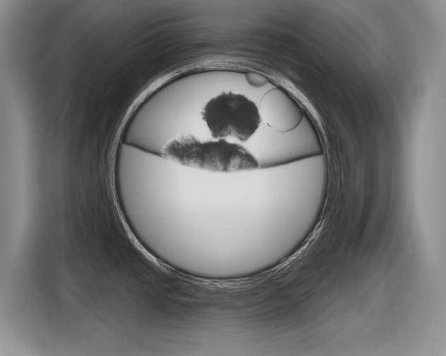 X0000116631437200912110952