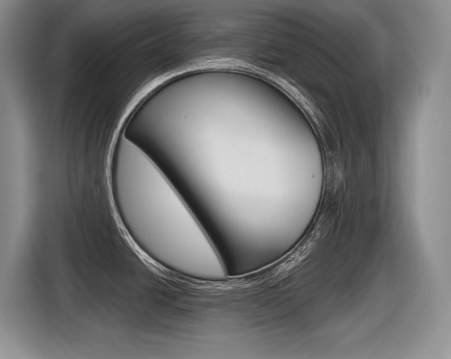 X0000116631438200912110952