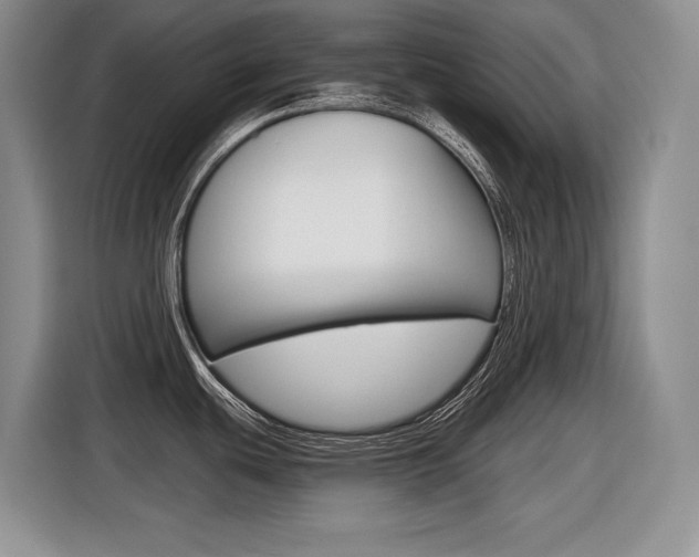 X0000116631439200912110952
