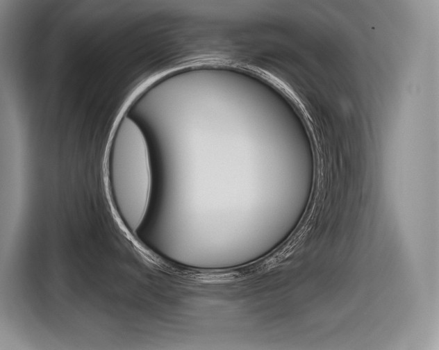 X0000116631440200912110952