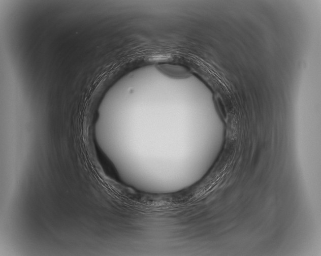 X0000116631441200912110951